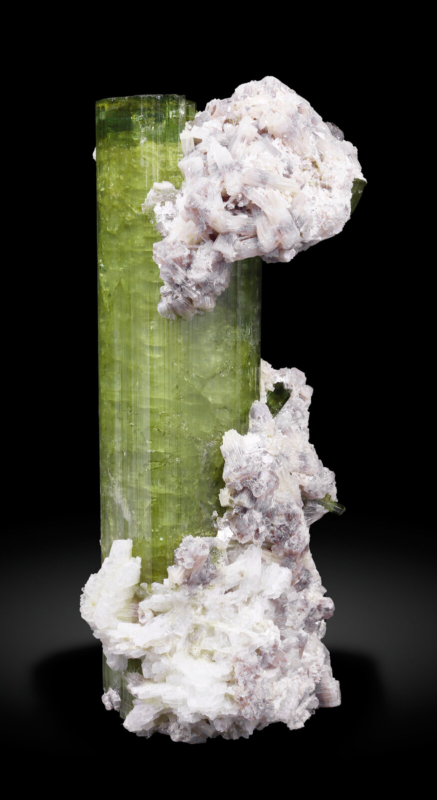 specimens/s_imagesCD1/Elbaite-EXR50CD1_4035_r.jpg