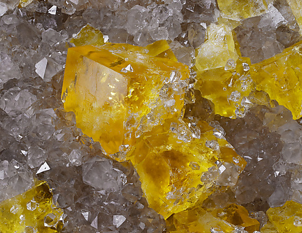 Fluorite on Quartz. Detail / Photo: Joaquim Calln