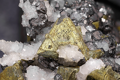 Chalcopyrite with Tetrahedrite, Galena and Quartz. Detail / Photo: Joaquim Calln