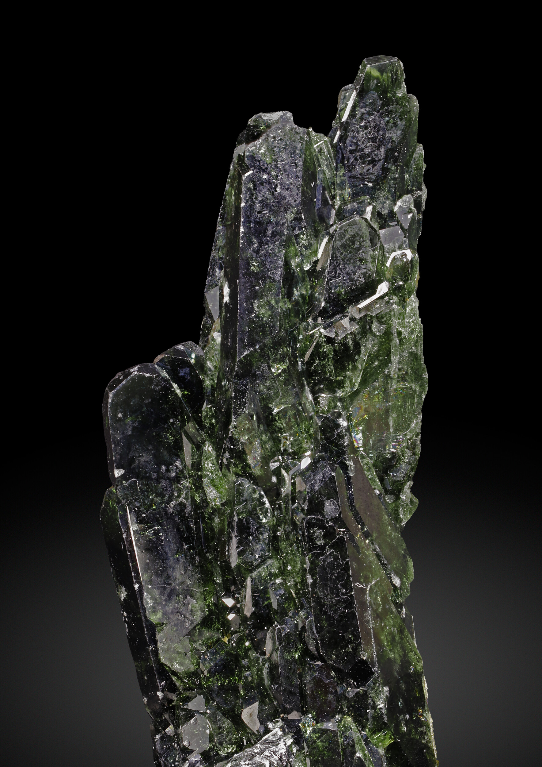 specimens/s_imagesCD2/Diopside-EPR28CD2_0816_d2.jpg