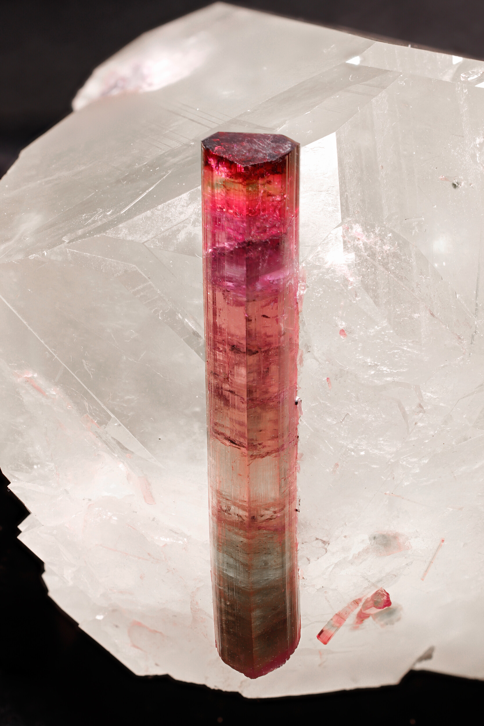 specimens/s_imagesCD2/Elbaite-MBB98CD2_0433_d.jpg