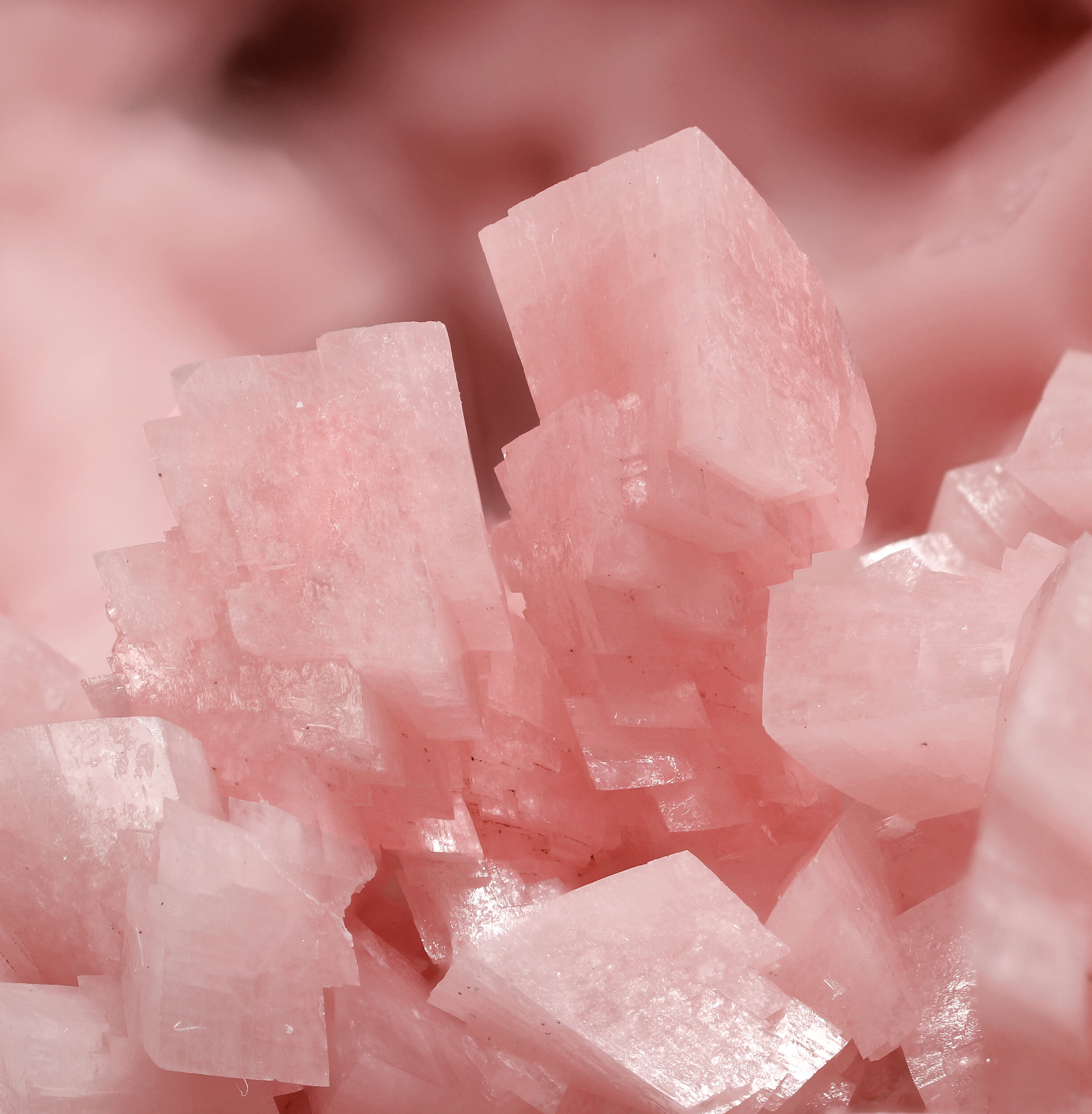 specimens/s_imagesCD2/Rhodochrosite-MPQ48CD2_0307_d2.jpg