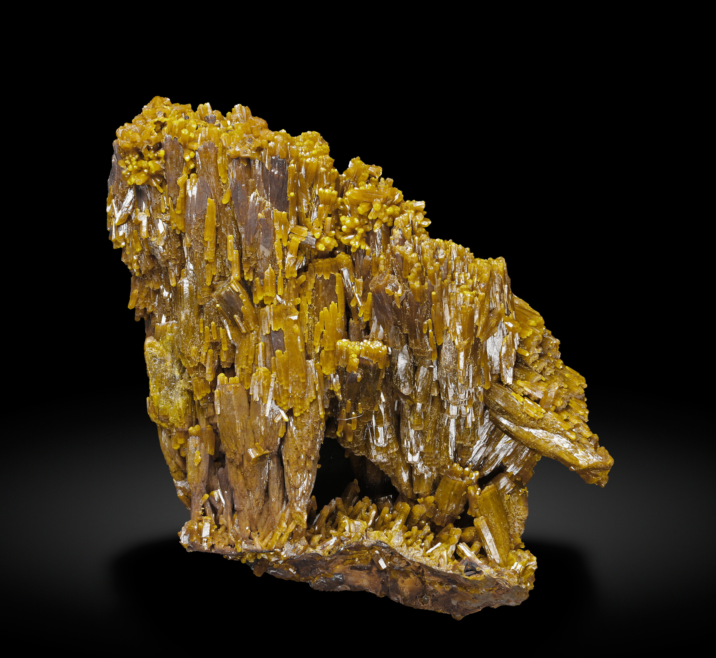 specimens/s_imagesCD4/Pyromorphite-TBB68CD4_0127f.jpg