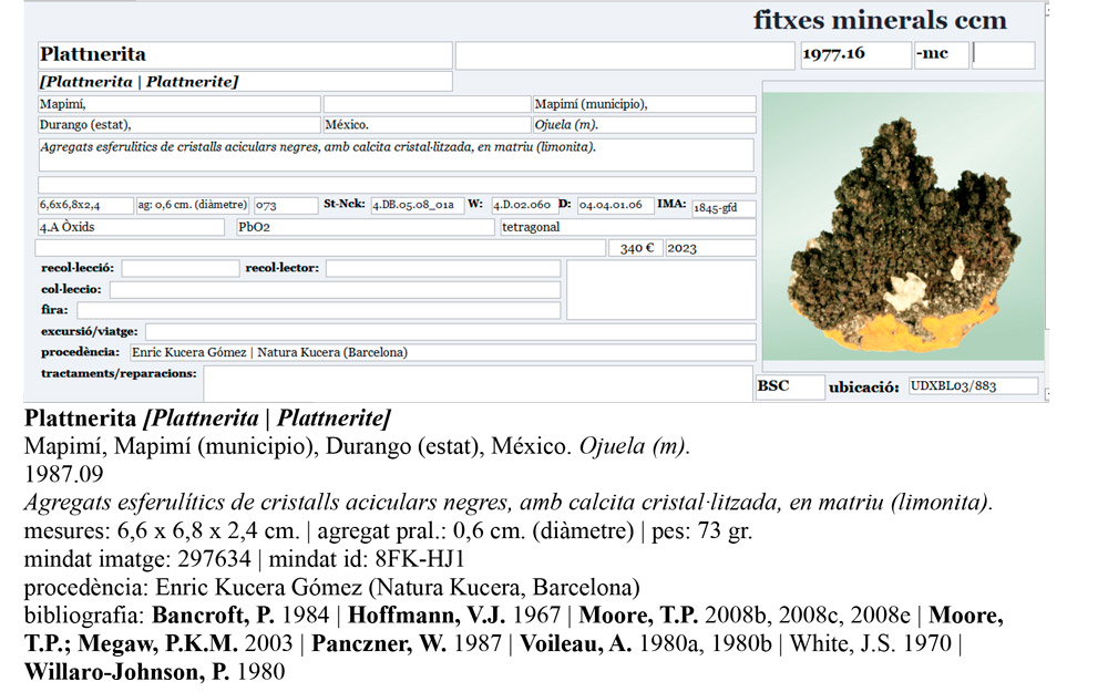 specimens/s_imagesCD6/Plattnerite-MBT48CD6e.jpg