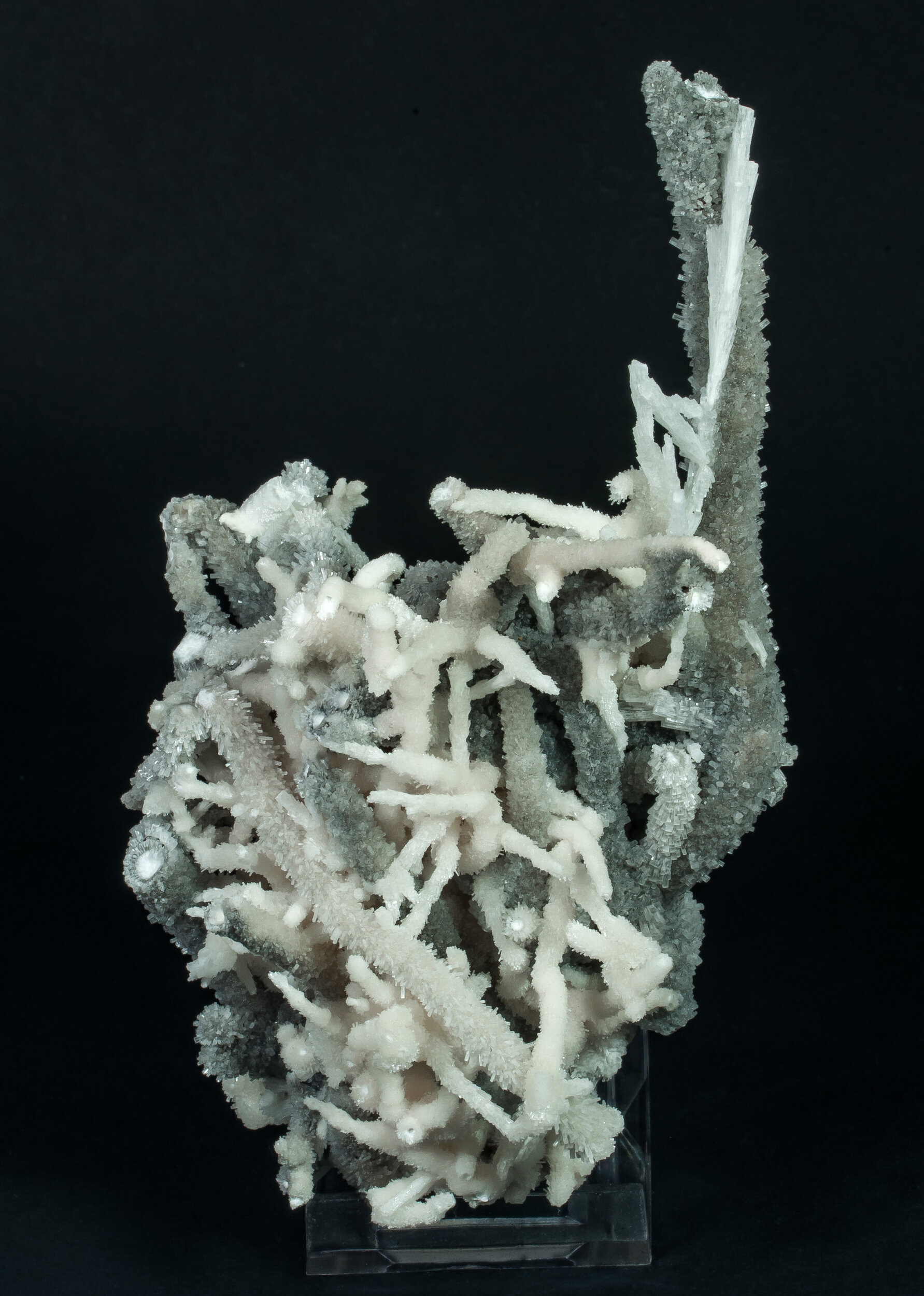 specimens/s_imagesCDD/Calcite-TFR98CDDf.jpg