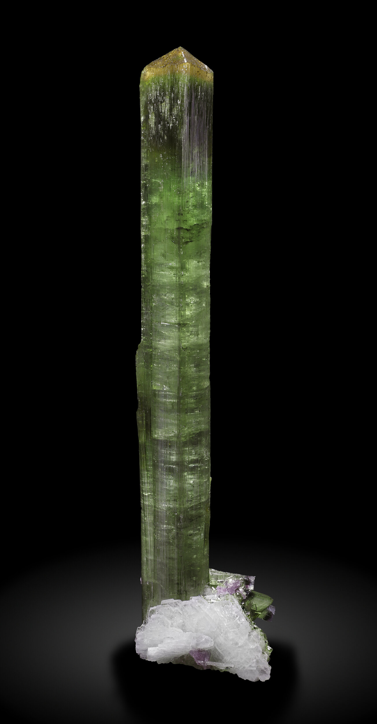 specimens/s_imagesCDD/Elbaite-ETL86CDD_2317_r.jpg