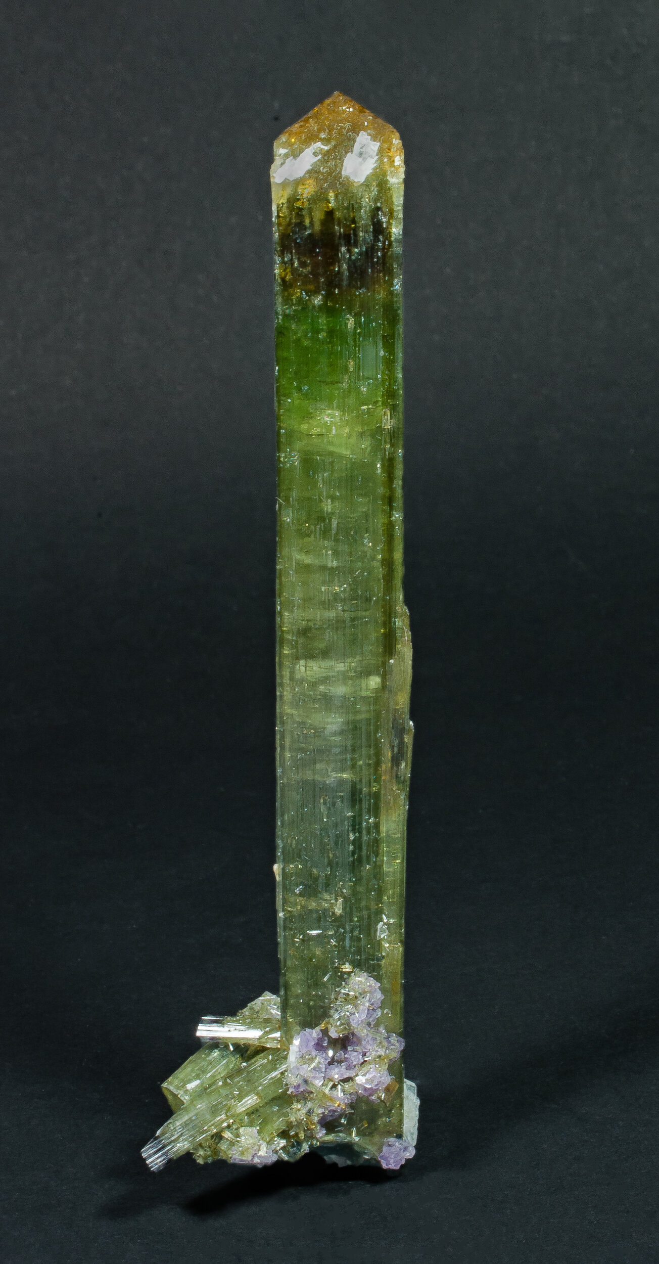 specimens/s_imagesCDD/Elbaite-ETL86CDDf.jpg