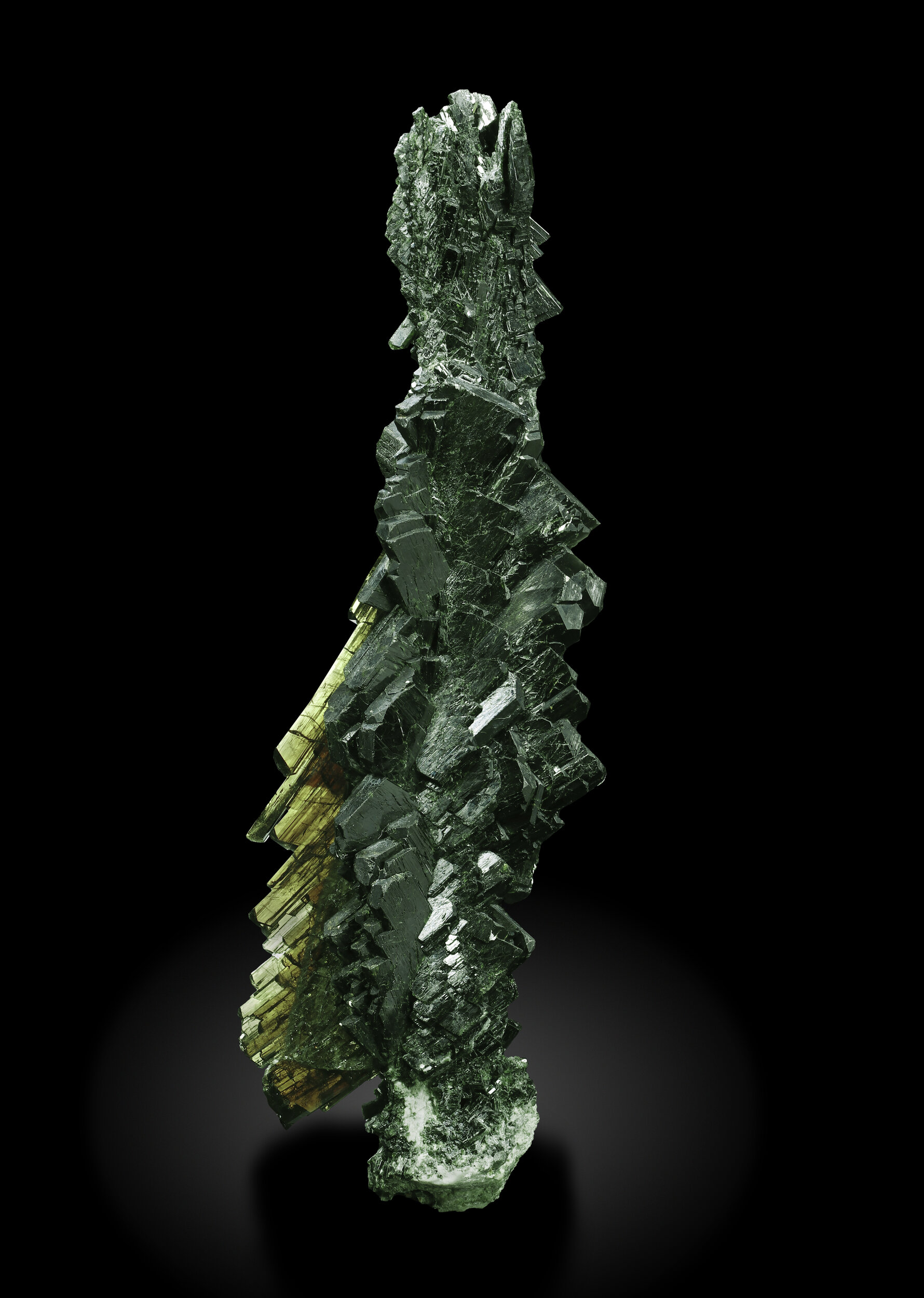 specimens/s_imagesCDD/Epidote-EFX27CDD_2420_f.jpg