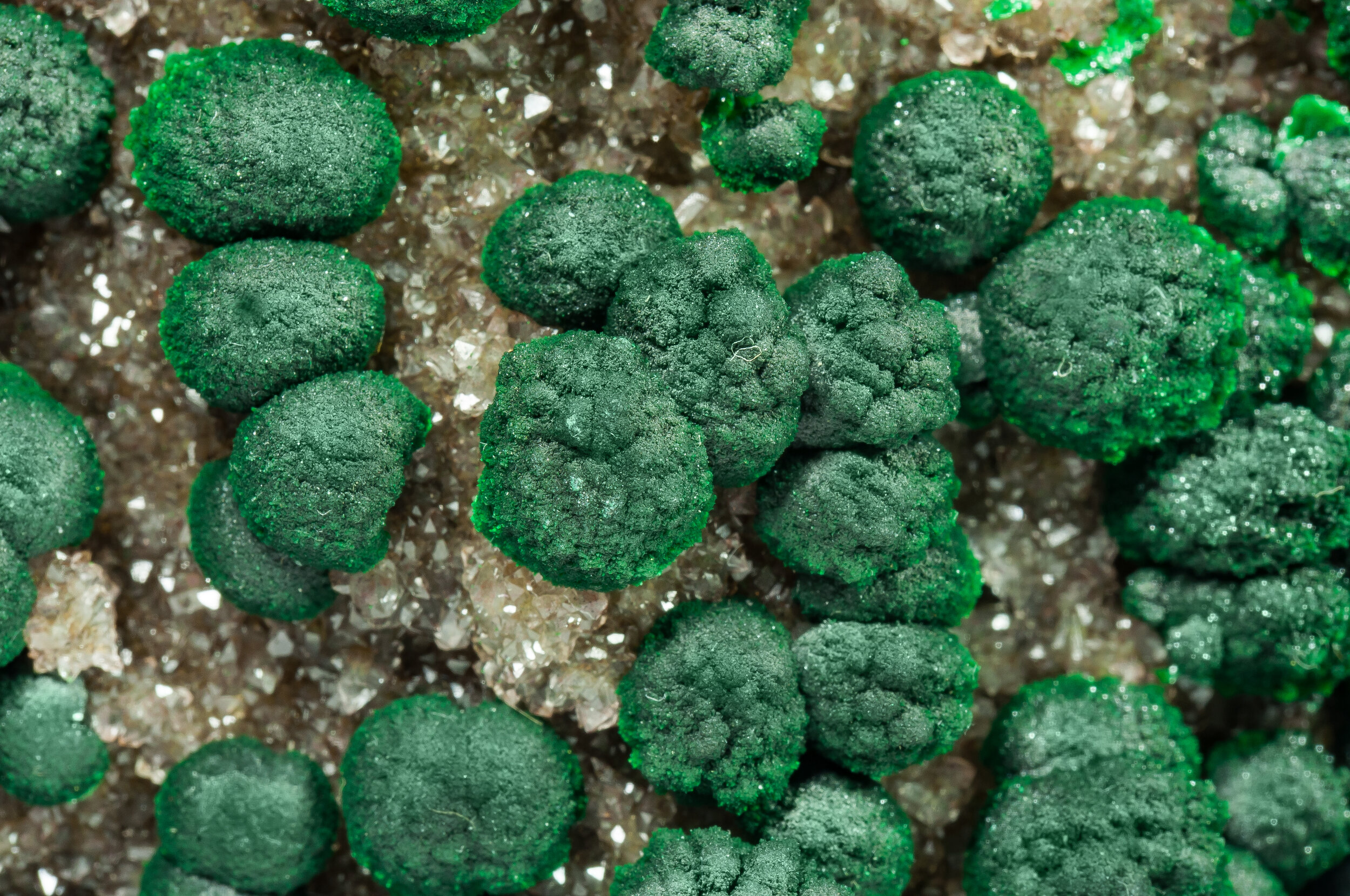 specimens/s_imagesCDD/Malachite-ETV27CDDd1.jpg