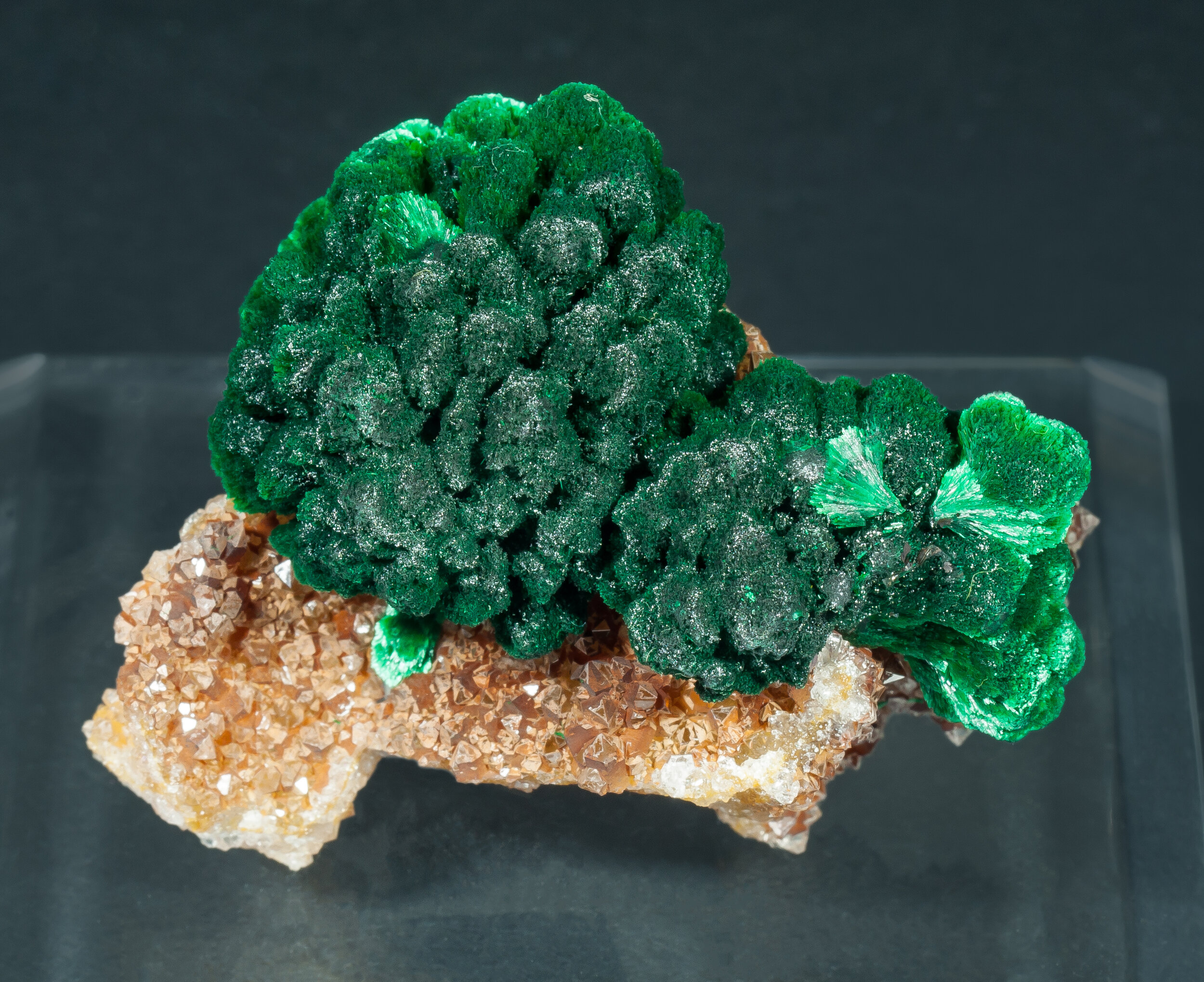 specimens/s_imagesCDD/Malachite-EXJ90CDDf.jpg